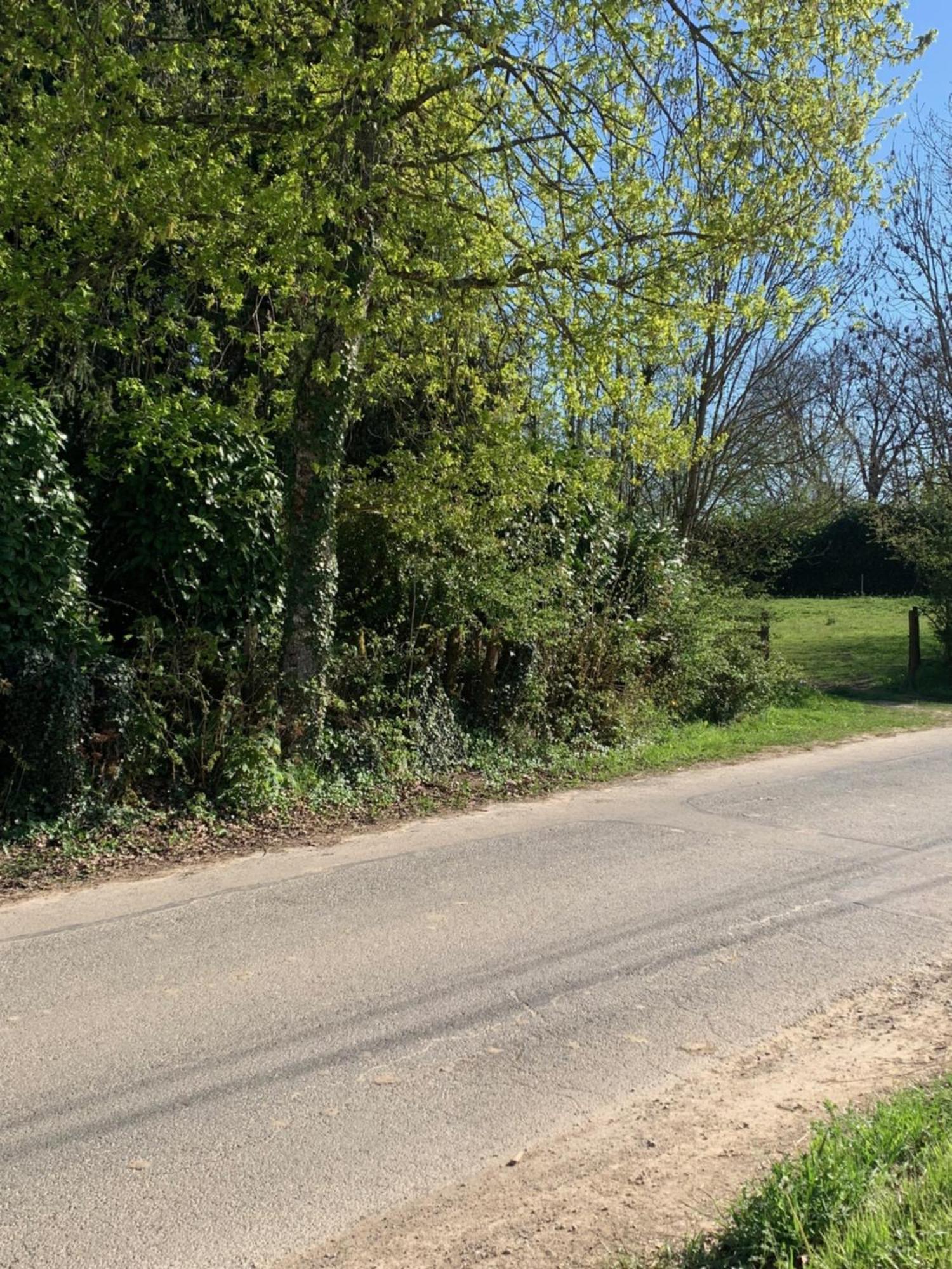 Sur Cote En Dombes Villa Villette-sur-Ain Eksteriør bilde